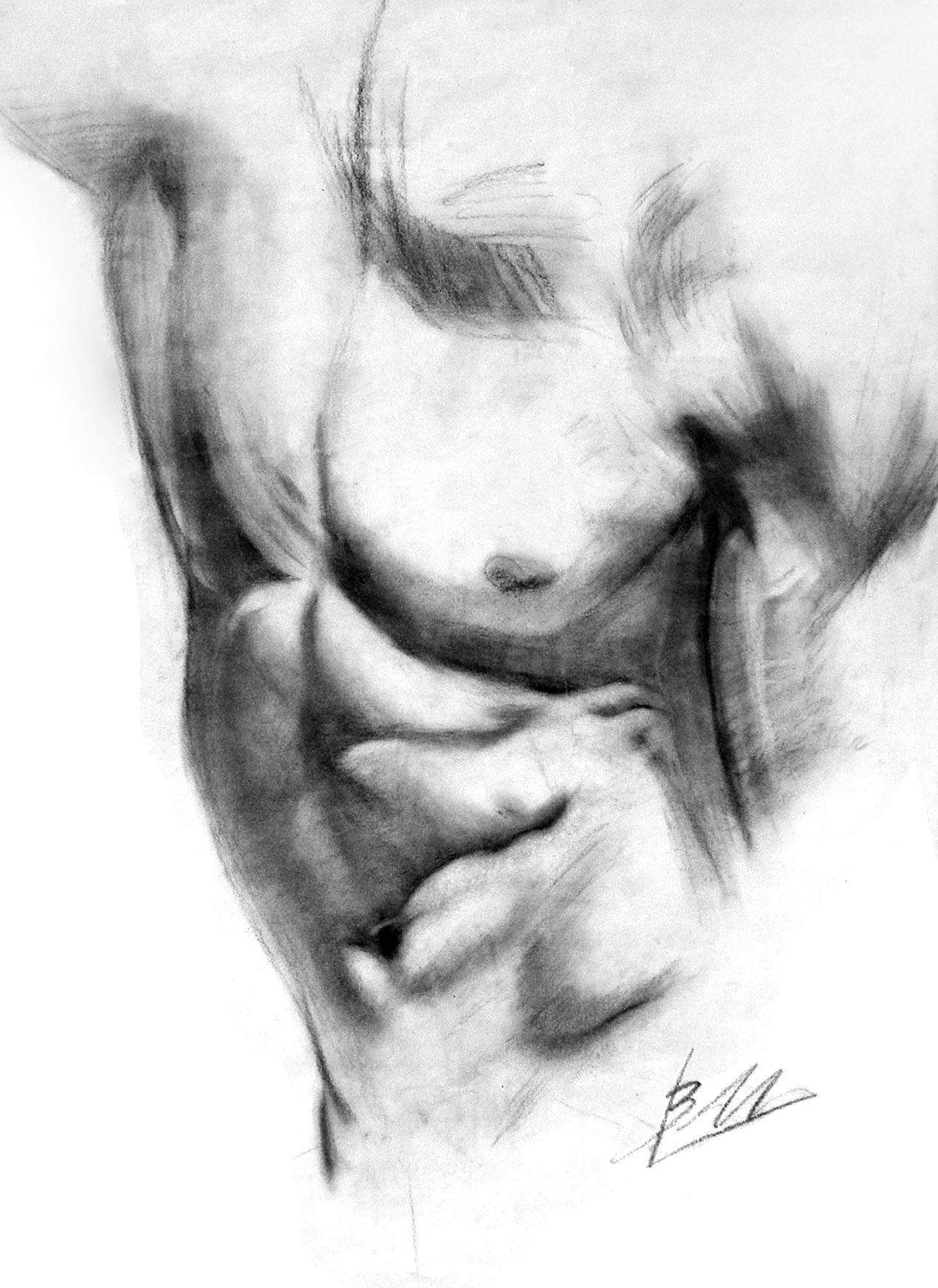 Torso